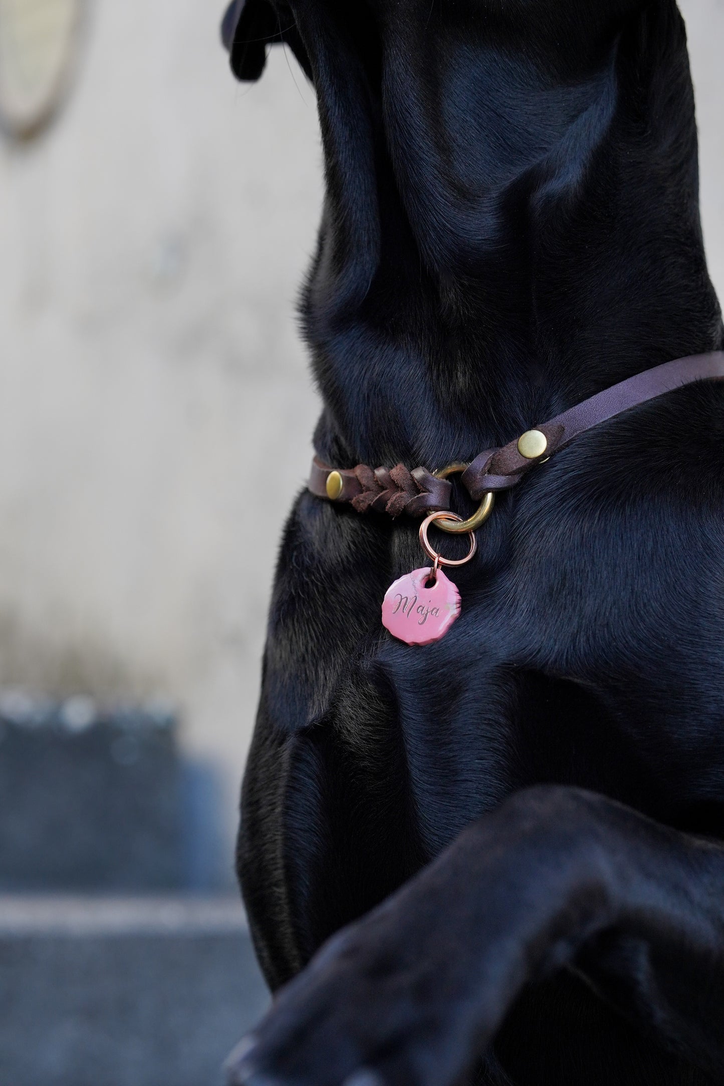 FETTLEDER MARKENHALSBAND