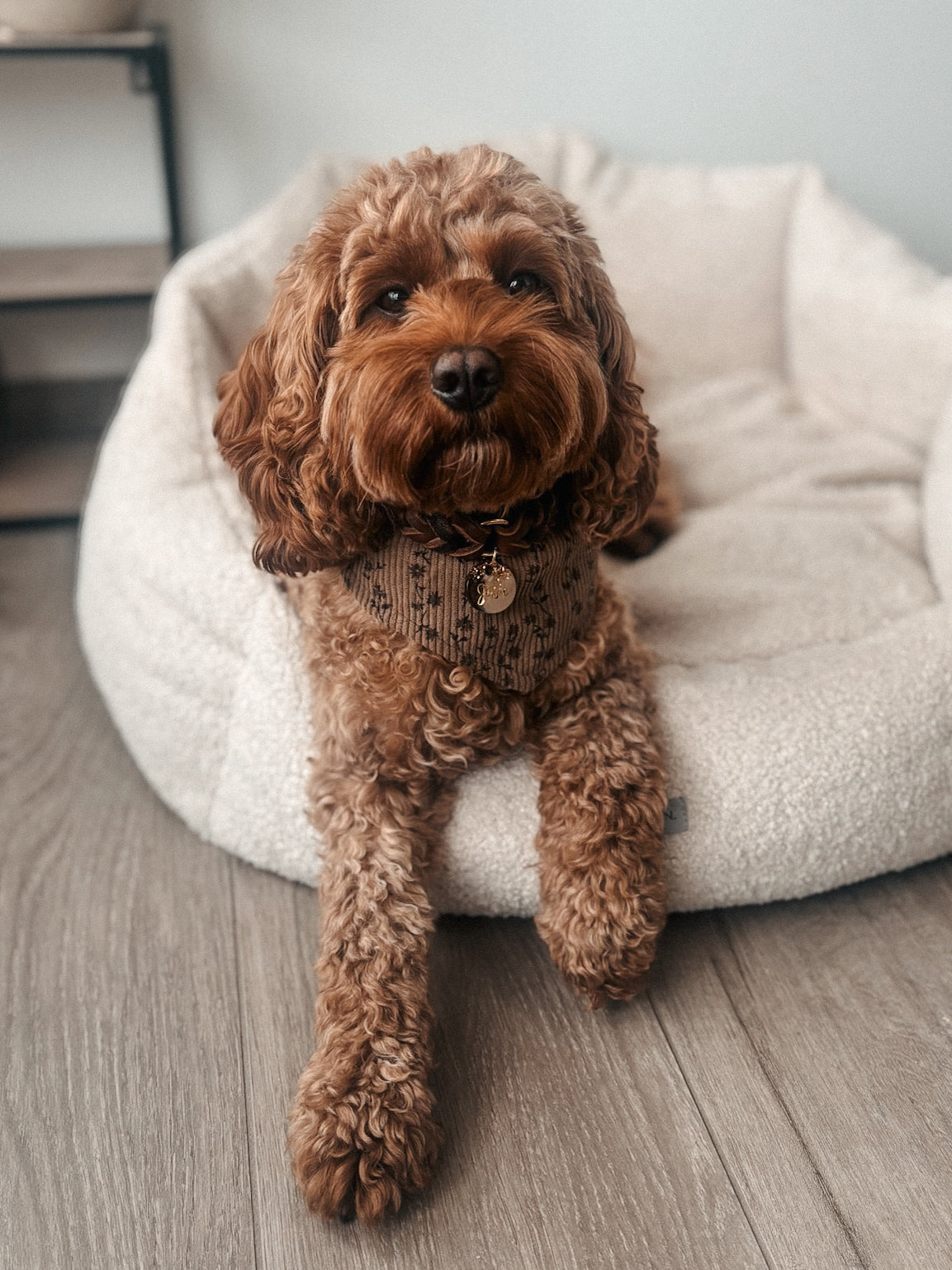 HUNDEHALSTUCH 'MOCHA BLOOM'