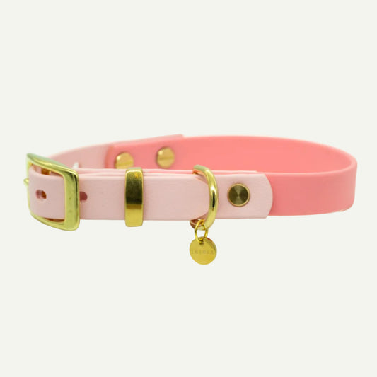 BIOTHANE® HALSBAND 'DUOPAW' | DESIGN YOUR OWN