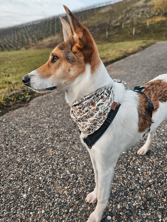 HUNDEHALSTUCH 'RUSTIC BLOOM'