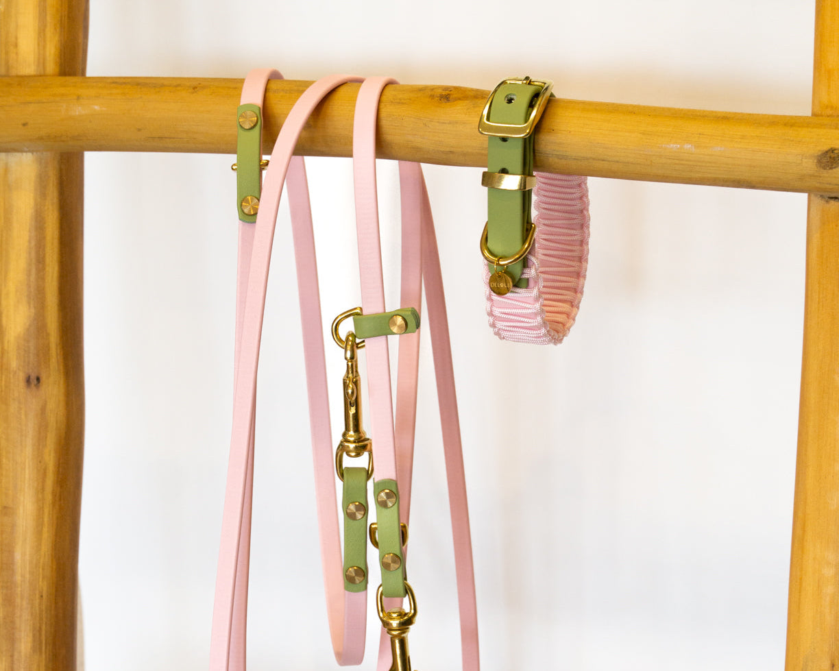 BIOTHANE x PARACORD HALSBAND 'STRAWBERRY MATCHA'