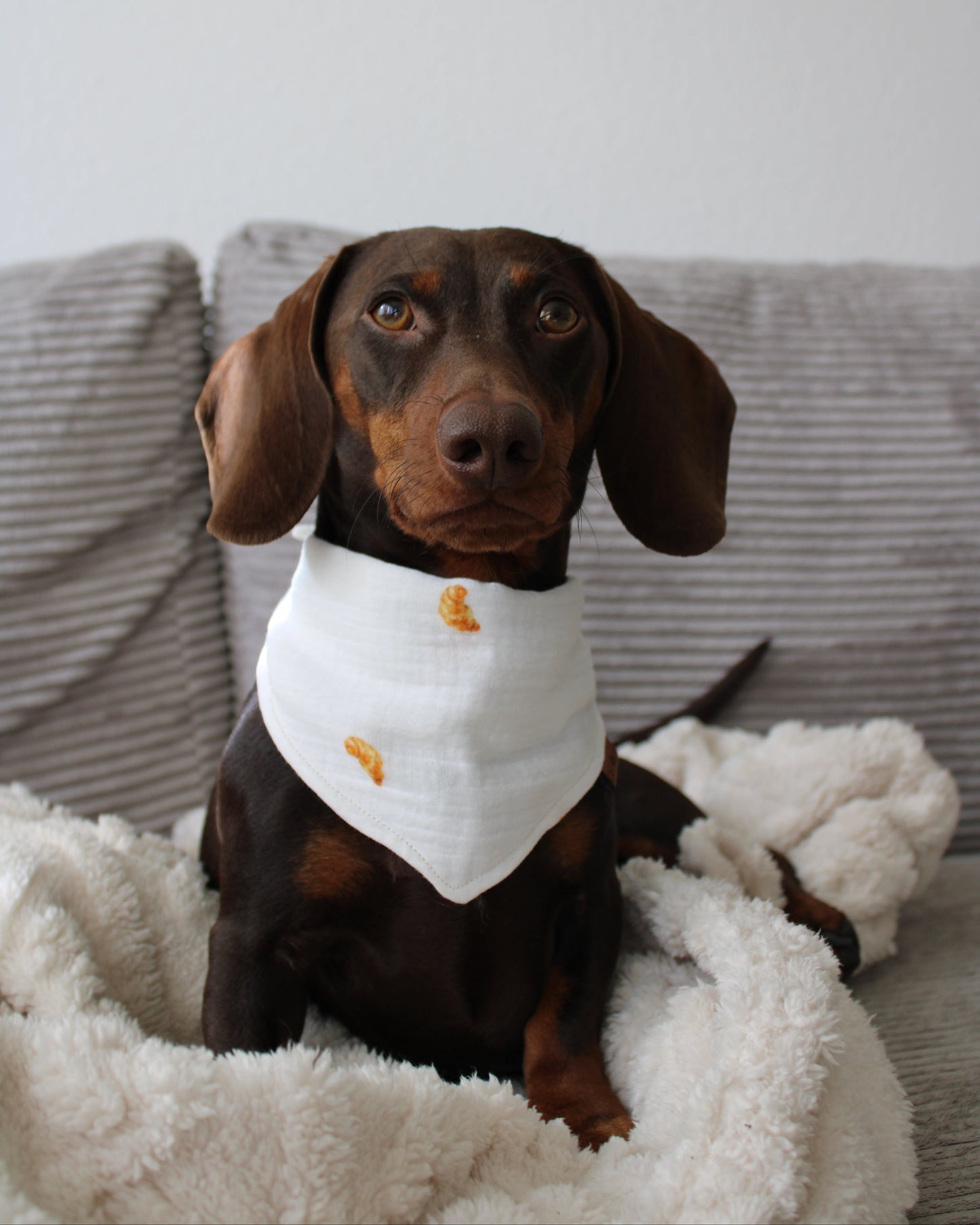 HUNDEHALSTUCH 'CROISSANT'