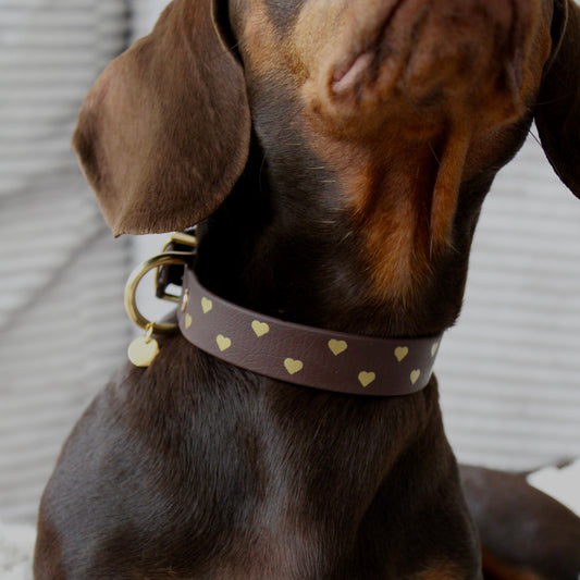 BIOTHANE® HALSBAND 'PETIT AMOUR'