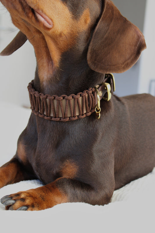 BIOTHANE x PARACORD HALSBAND 'WALNUT'