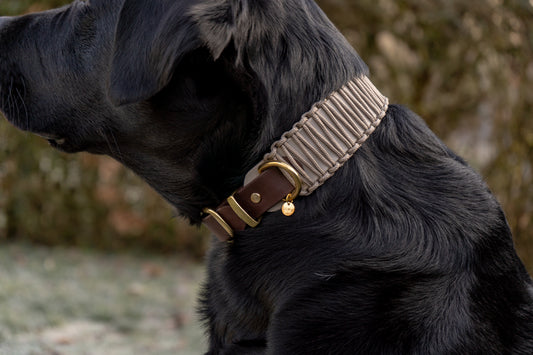 BIOTHANE x PARACORD HALSBAND 'SANDSTONE'