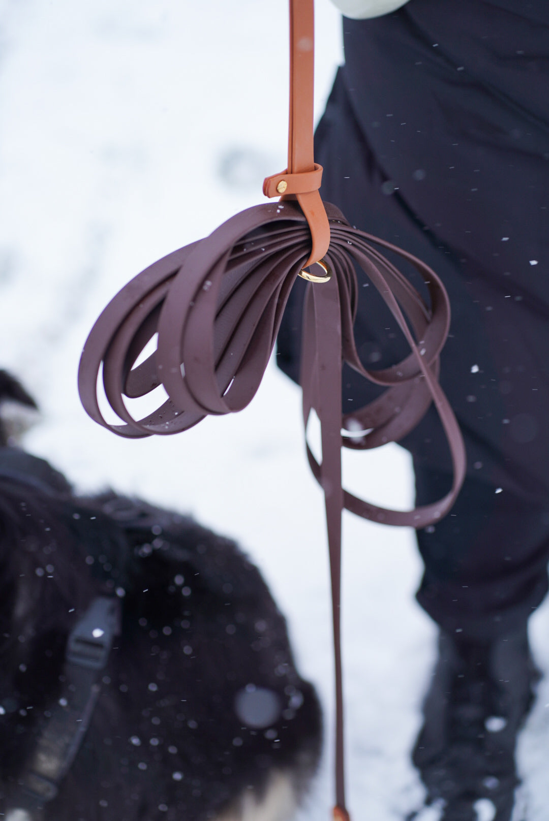 BIOTHANE® SCHLEPPLEINE 'TWO ELEMENTS'