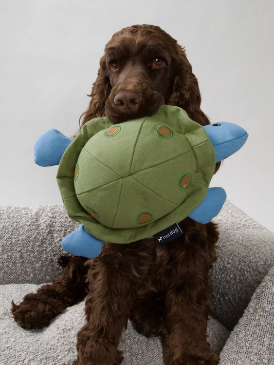 NORDOG HUNDESPIELZEUG „SCHILDKRÖTE KIM“