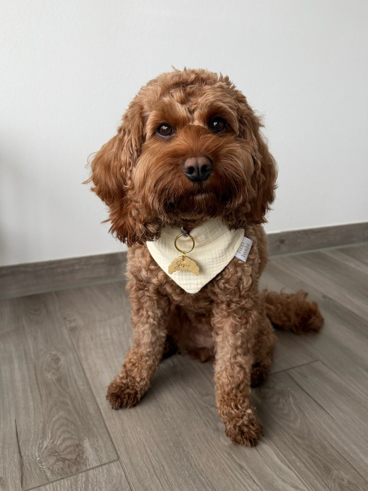HUNDEMARKE 'CROISSANT'