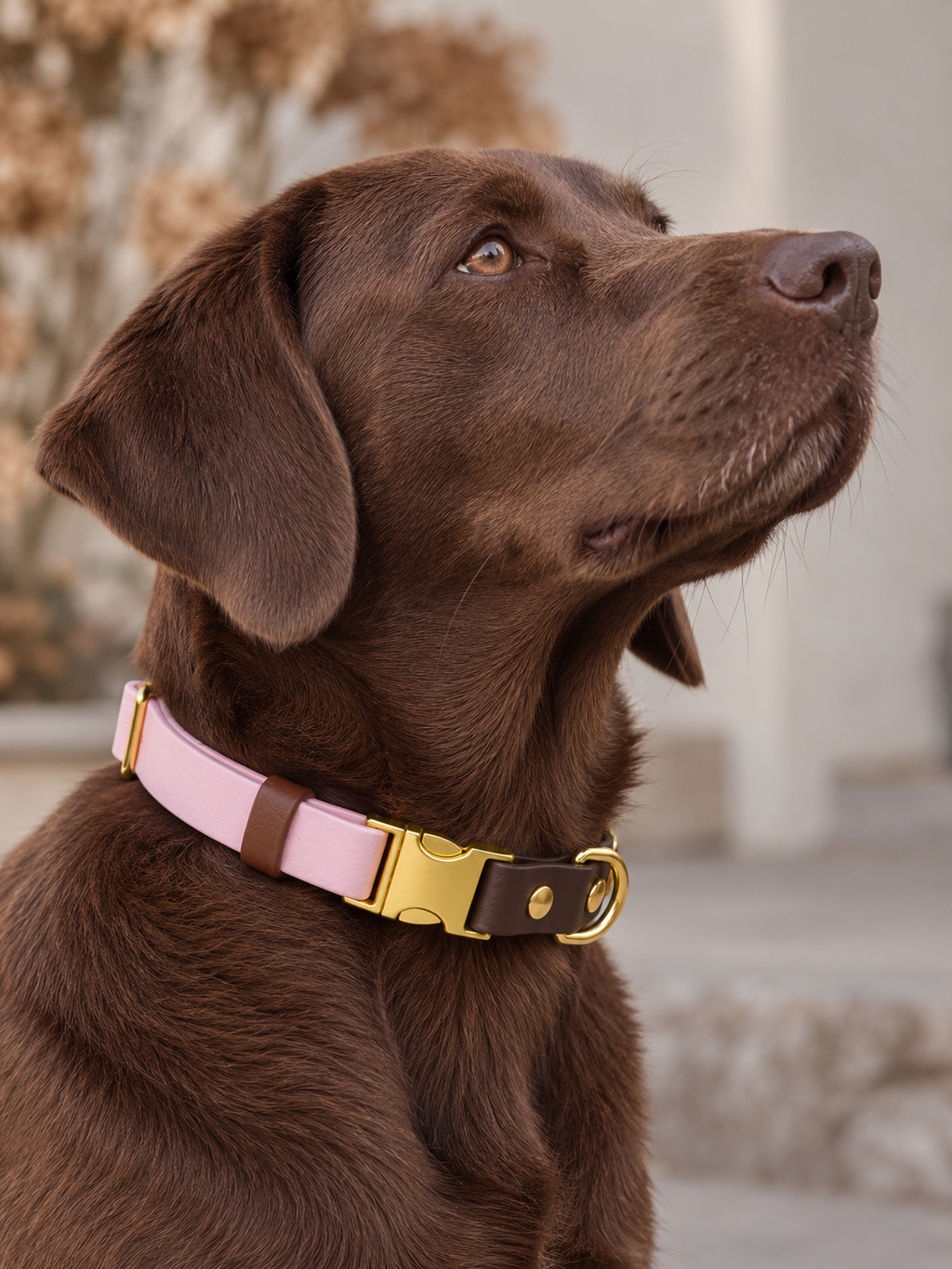 BIOTHANE® HALSBAND | KLICKPAW