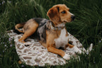 OUTDOOR HUNDEDECKE | SAVANNA SOUL