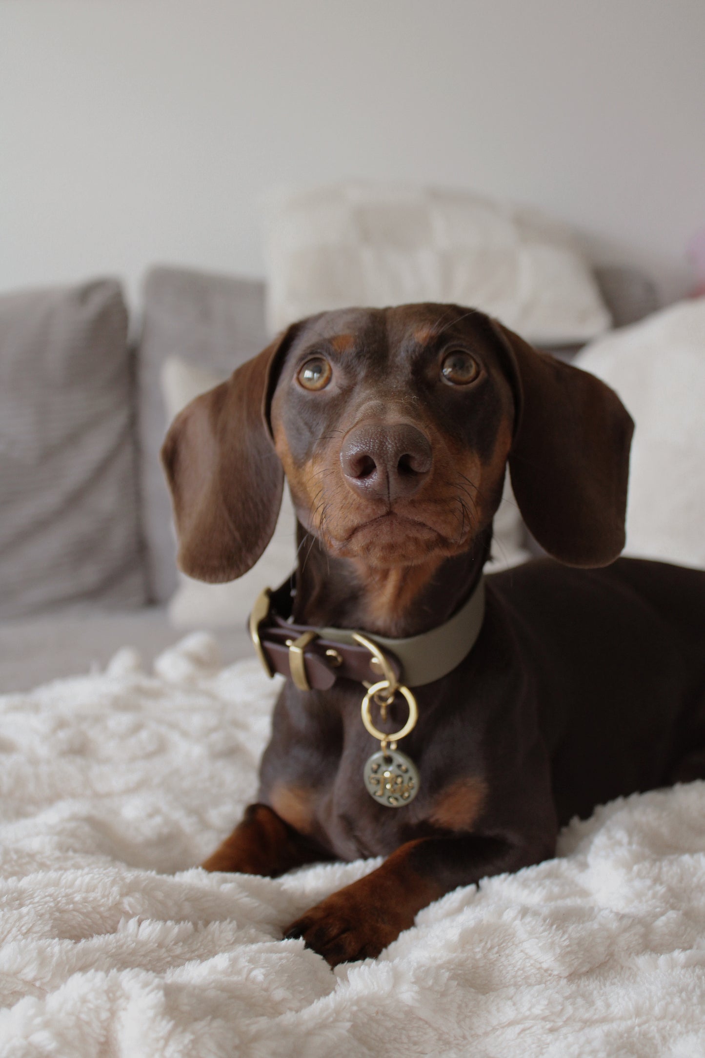 BIOTHANE® HALSBAND 'DUOPAW'