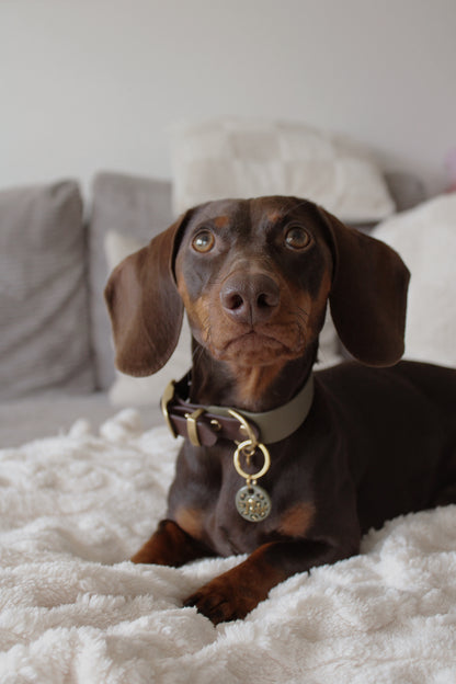 BIOTHANE® HALSBAND 'DUOPAW'