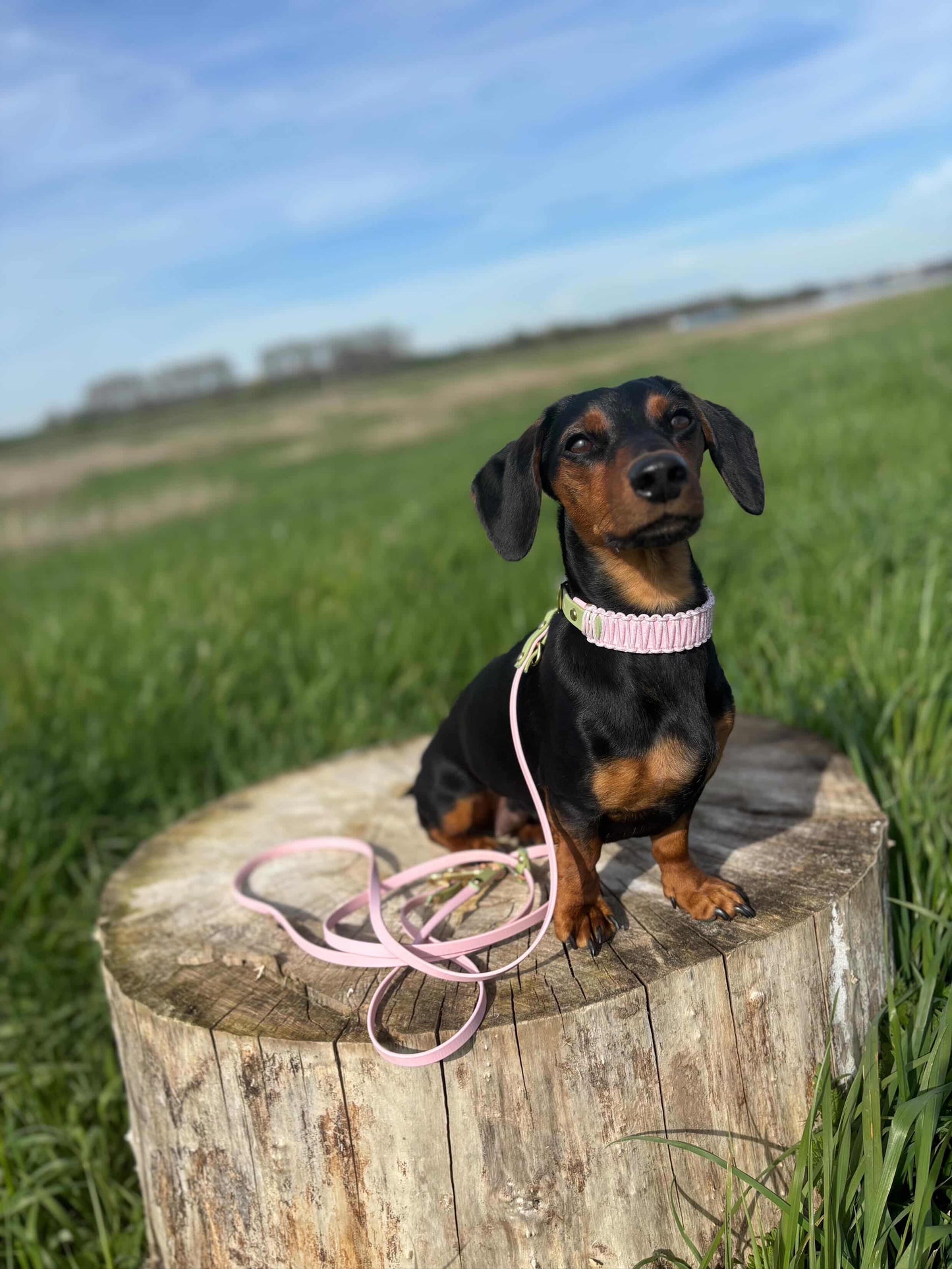 CROSSBODY LEINE AUS BIOTHANE® | DUOPAW 'STRAWBERRY MATCHA'