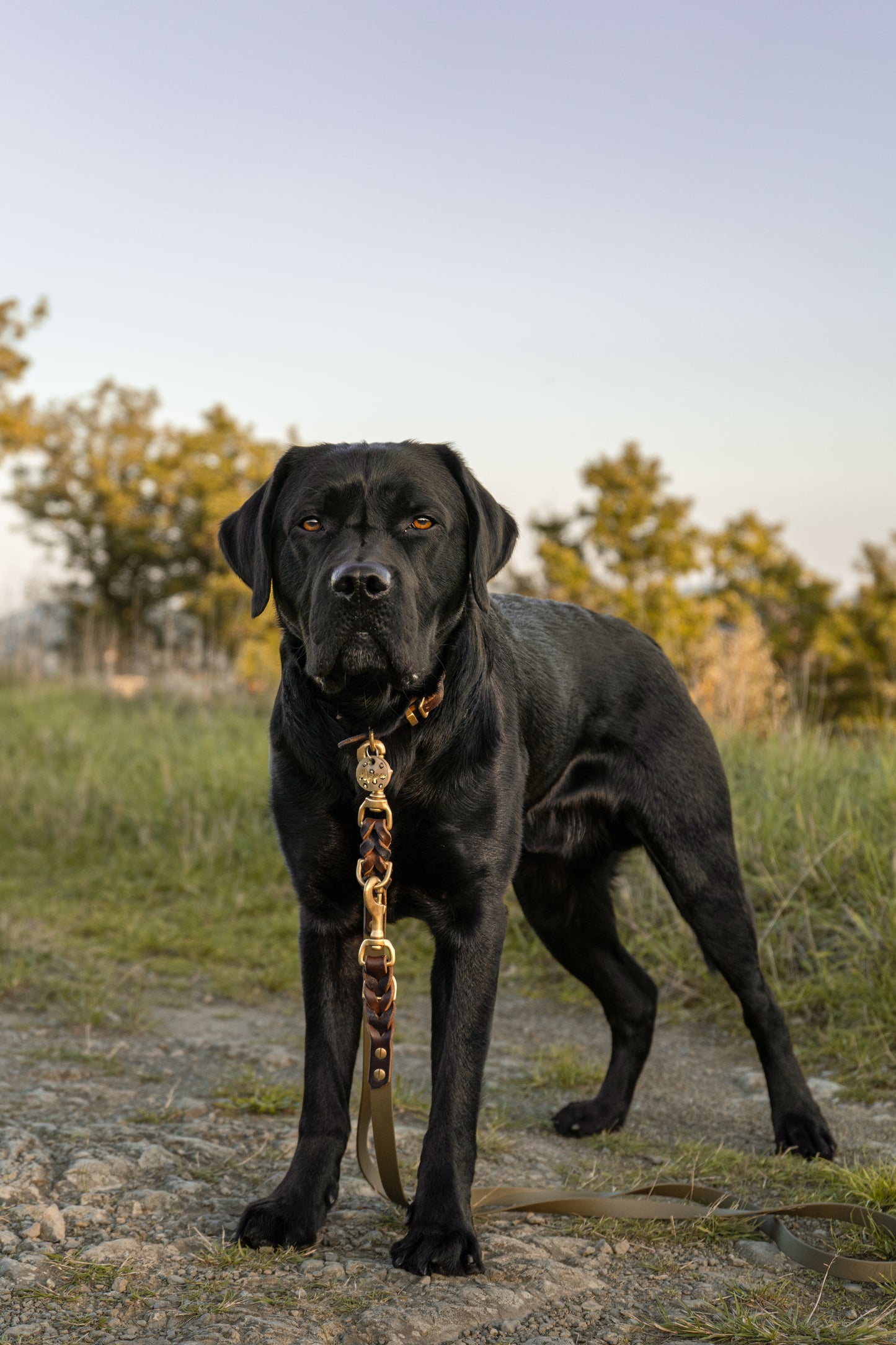 BIOTHANE® x FETTLEDER LEINE „PURE NATURE“ | 3-FACH VERSTELLBAR