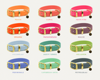 BIOTHANE® HALSBAND CLASSIC