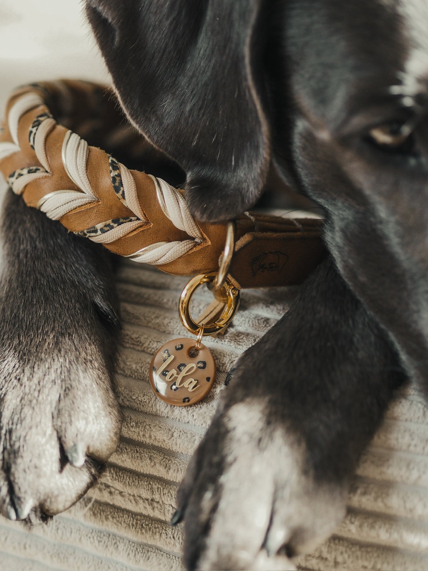 HUNDEMARKE "WILD STYLE" MIT LEOPARD PRINT