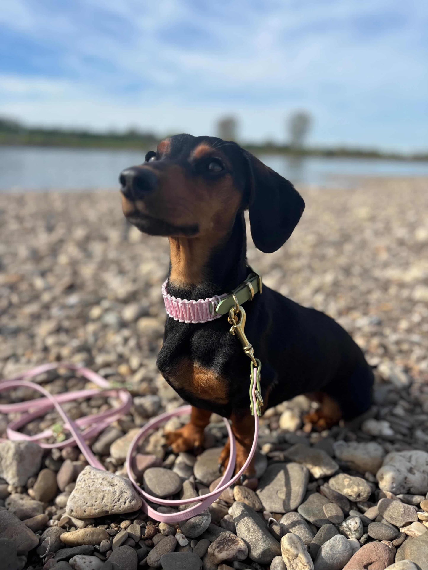 CROSSBODY LEINE AUS BIOTHANE® | DUOPAW 'STRAWBERRY MATCHA'