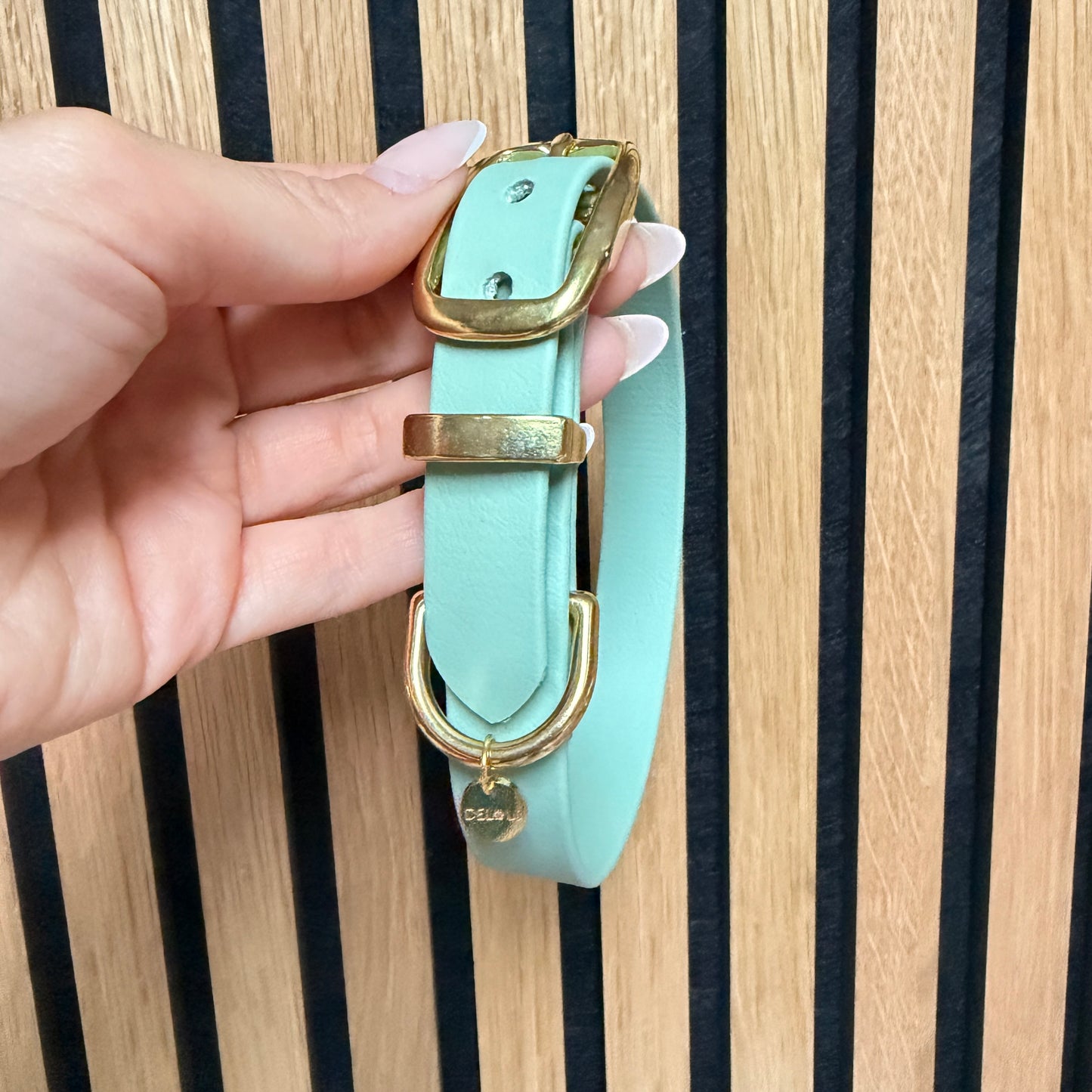 Halsband 'Classic' Sagegrün | HU 30-36cm