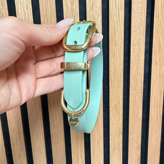 Halsband 'Classic' Sagegrün | HU 30-36cm