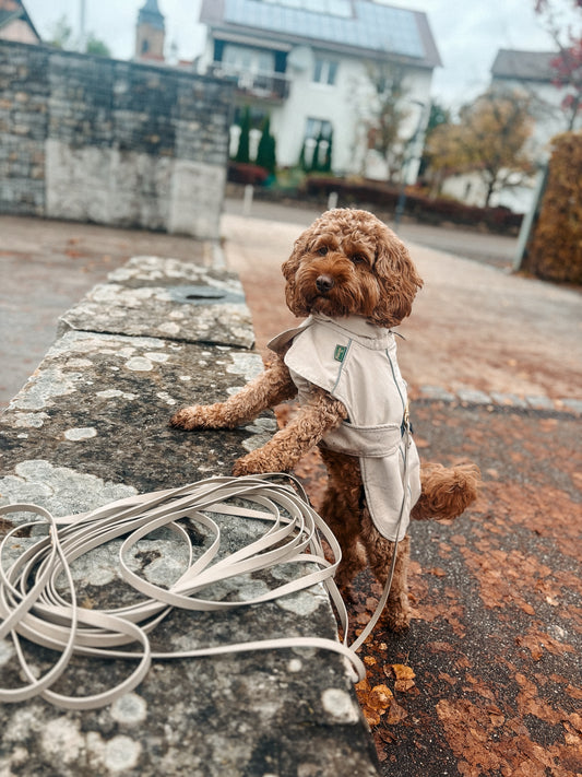 SCHLEPPLEINE AUS BIOTHANE®