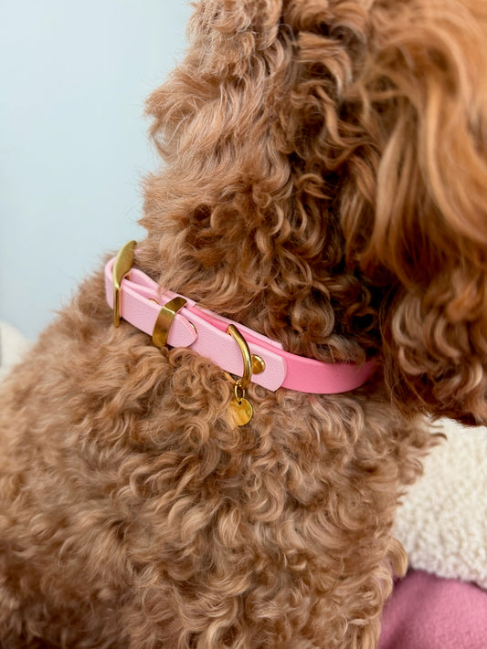 BIOTHANE® HALSBAND 'DUOPAW' | SPRING COLLECTION