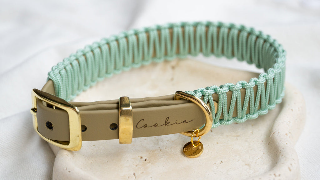 BIOTHANE x PARACORD HALSBAND 'PURE CORD'