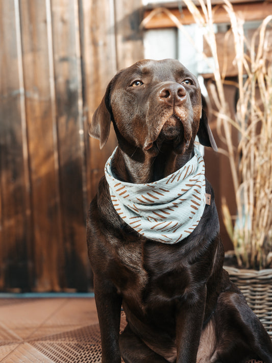 HUNDEHALSTUCH 'BOHO BREEZE'