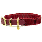BIOTHANE x PARACORD HALSBAND 'PURE CORD'