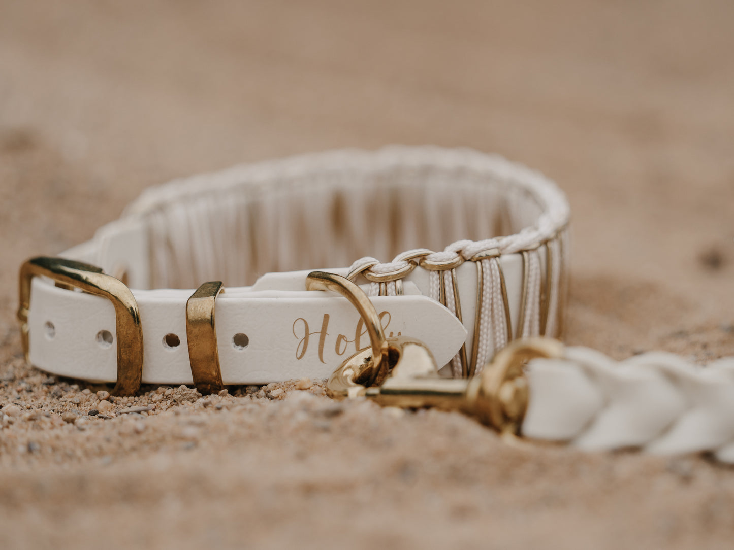 BIOTHANE x PARACORD HUNDEHALSBAND | BOHO