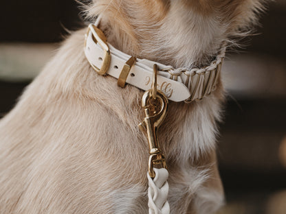 BIOTHANE x PARACORD HUNDEHALSBAND | BOHO