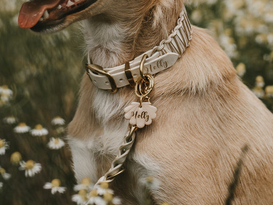 HUNDEMARKE 'SEASHELL' | LIMITED EDITION