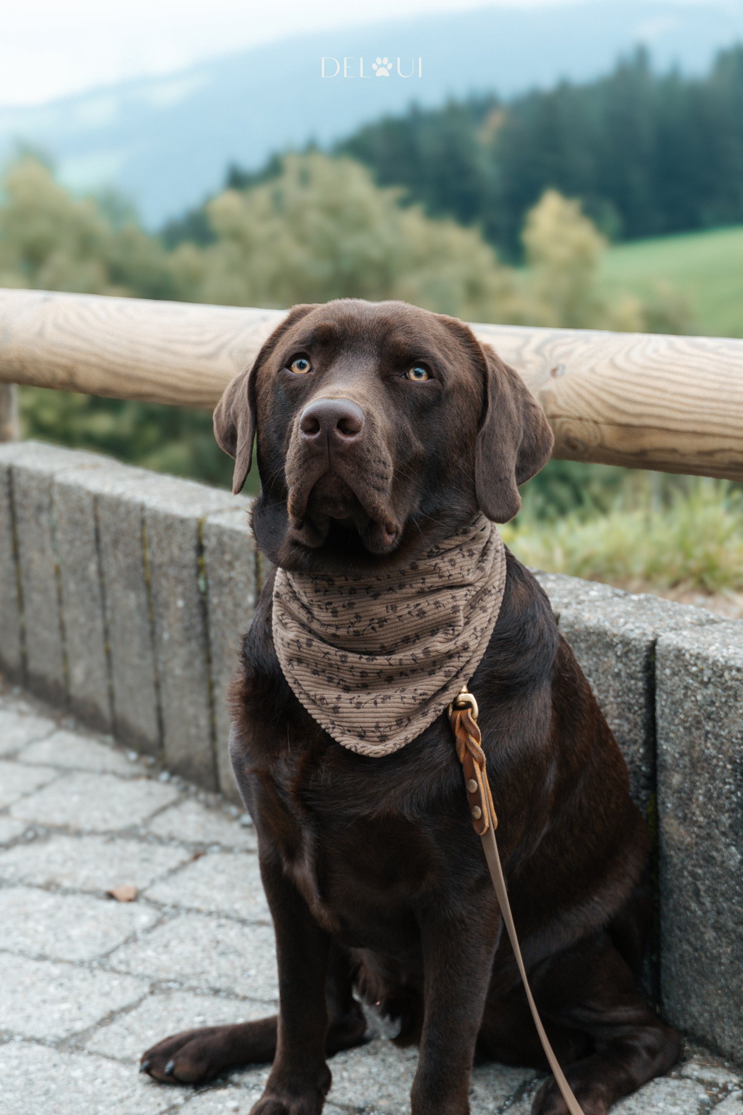 HUNDEHALSTUCH 'MOCHA BLOOM'