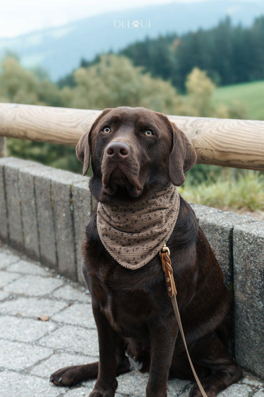 HUNDEHALSTUCH 'MOCHA BLOOM'