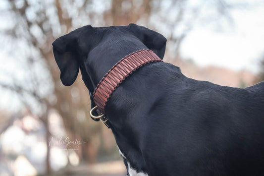 BIOTHANE x PARACORD HALSBAND 'CHESTNUT'