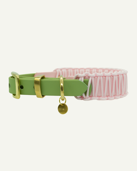 BIOTHANE x PARACORD HALSBAND 'STRAWBERRY MATCHA'