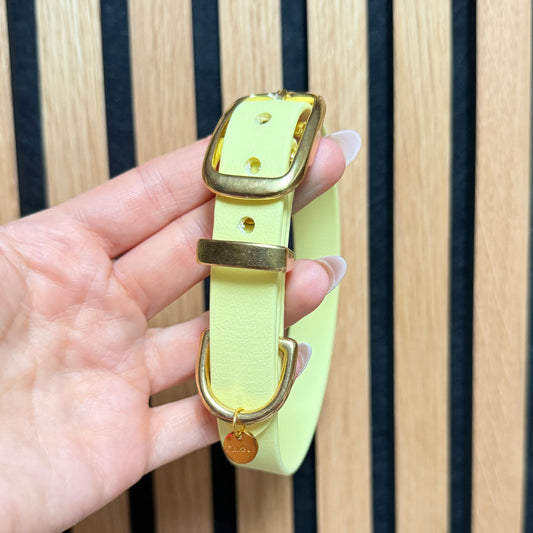 Halsband 'Classic' Pastellgelb | HU 30-36cm