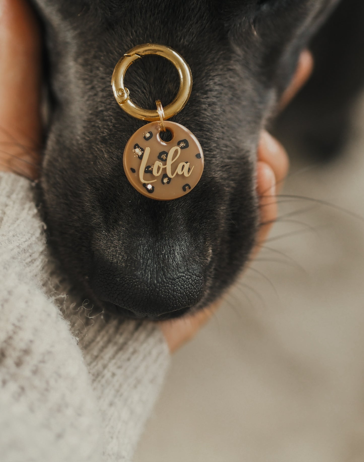 HUNDEMARKE "WILD STYLE" MIT LEOPARD PRINT