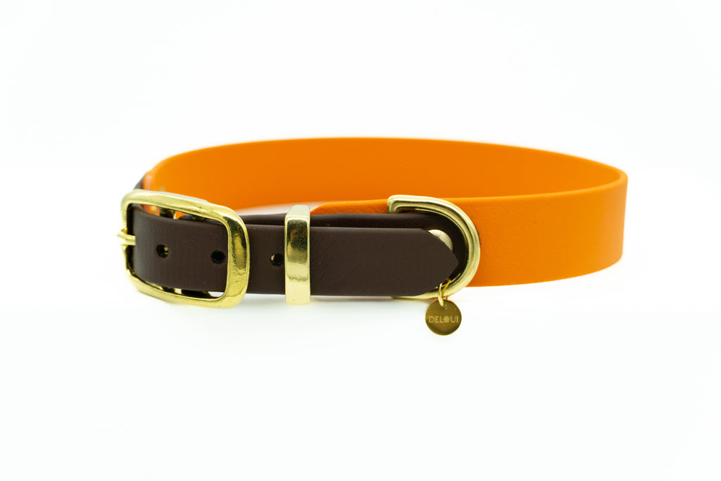 BIOTHANE® HALSBAND 'DUOPAW'