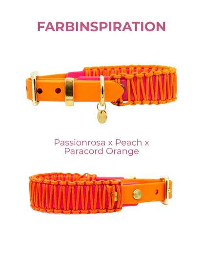 BIOTHANE x PARACORD HALSBAND 'TWIN CORD'
