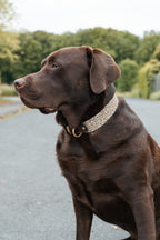 BIOTHANE® HALSBAND | DUOPAW LEO