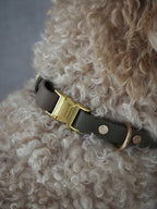 BIOTHANE® HALSBAND | KLICKPAW
