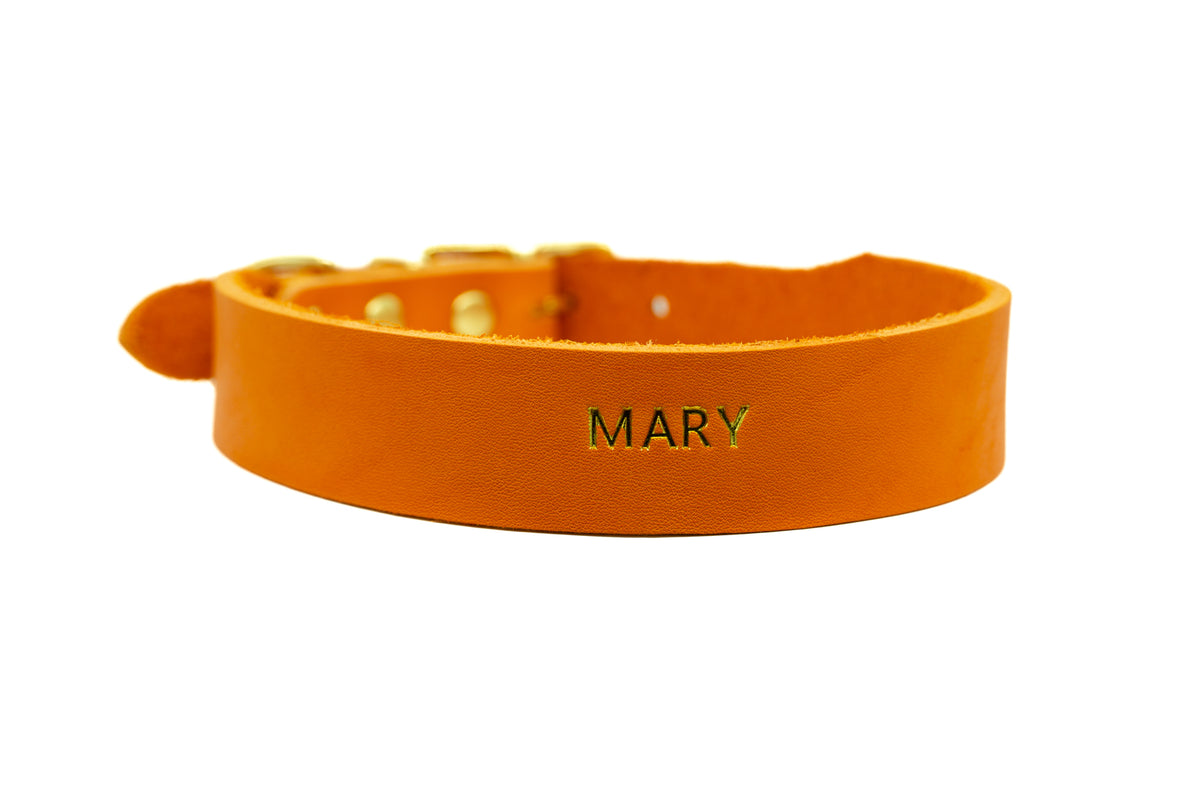 FETTLEDERHALSBAND