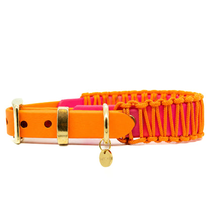 BIOTHANE x PARACORD HALSBAND 'HOLY APEROLI'