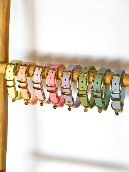 BIOTHANE® HALSBAND CLASSIC | SPRING COLLECTION