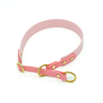 BIOTHANE® ZUGSTOPP HALSBAND ‚DUOPAW‘ | DESIGN YOUR OWN
