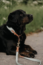 BIOTHANE® ZUGSTOPP HALSBAND