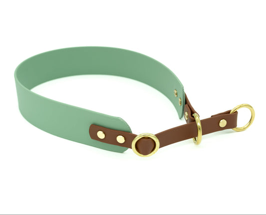 BIOTHANE® ZUGSTOPP HALSBAND ‚DUOPAW‘ | DESIGN YOUR OWN