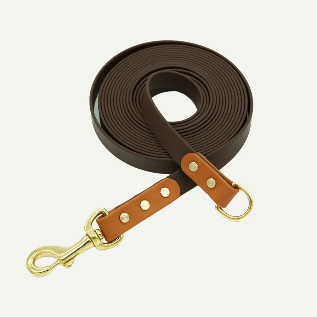 BIOTHANE® SCHLEPPLEINE 'TWO ELEMENTS'