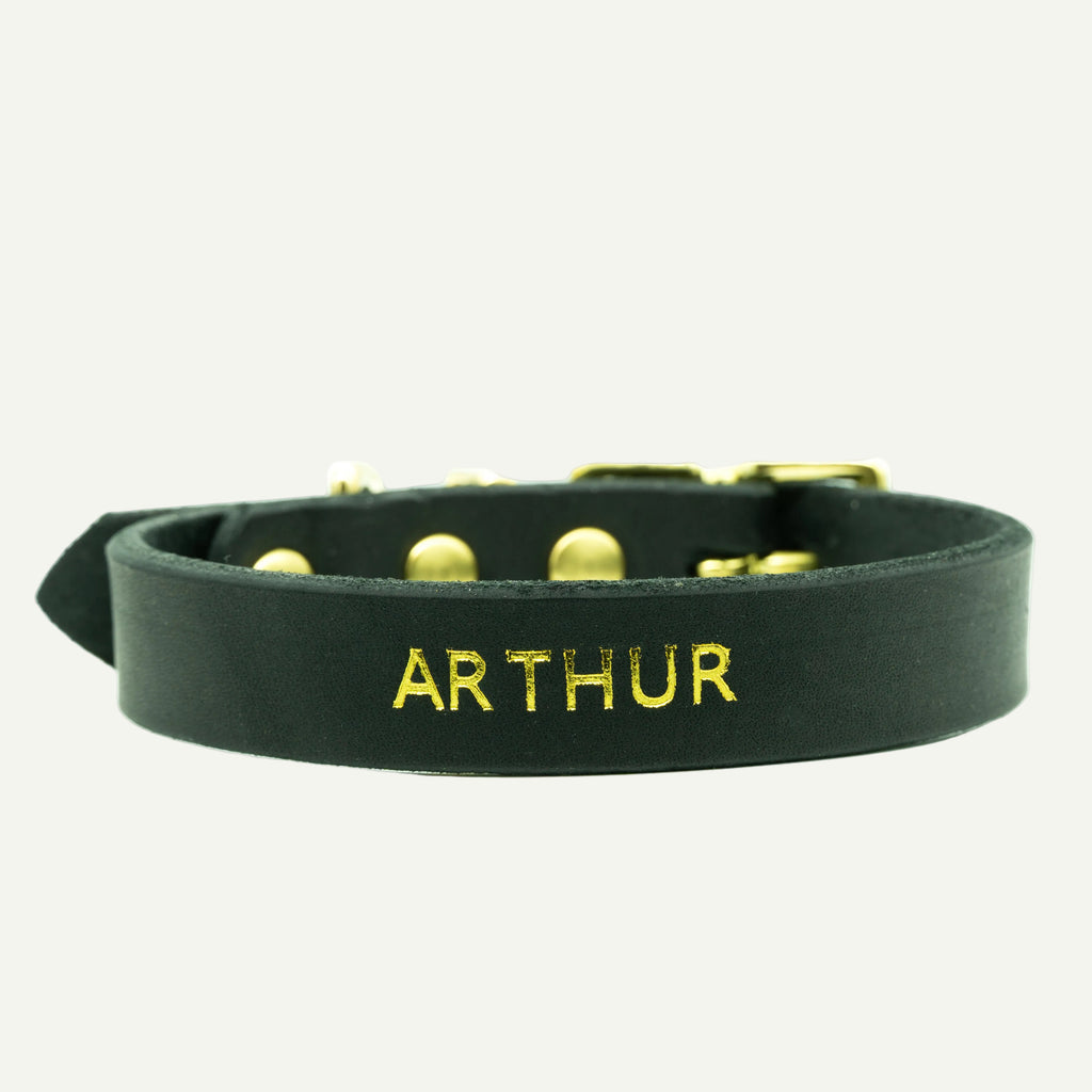 FETTLEDERHALSBAND