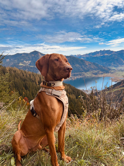 BIOTHANE® x FETTLEDER HALSBAND 'PURE NATURE'